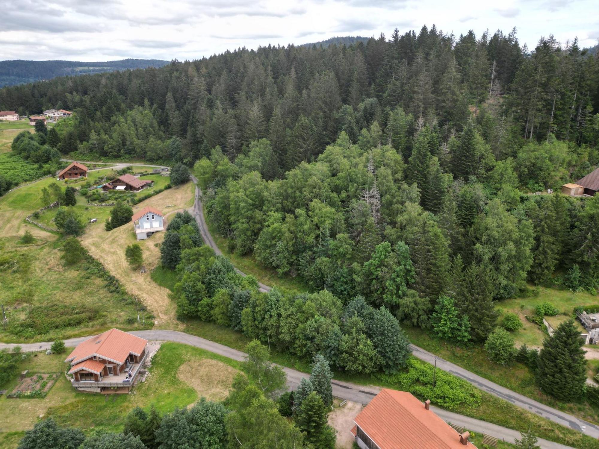 Chalet L'Appel De La Foret Gerardmer Ngoại thất bức ảnh