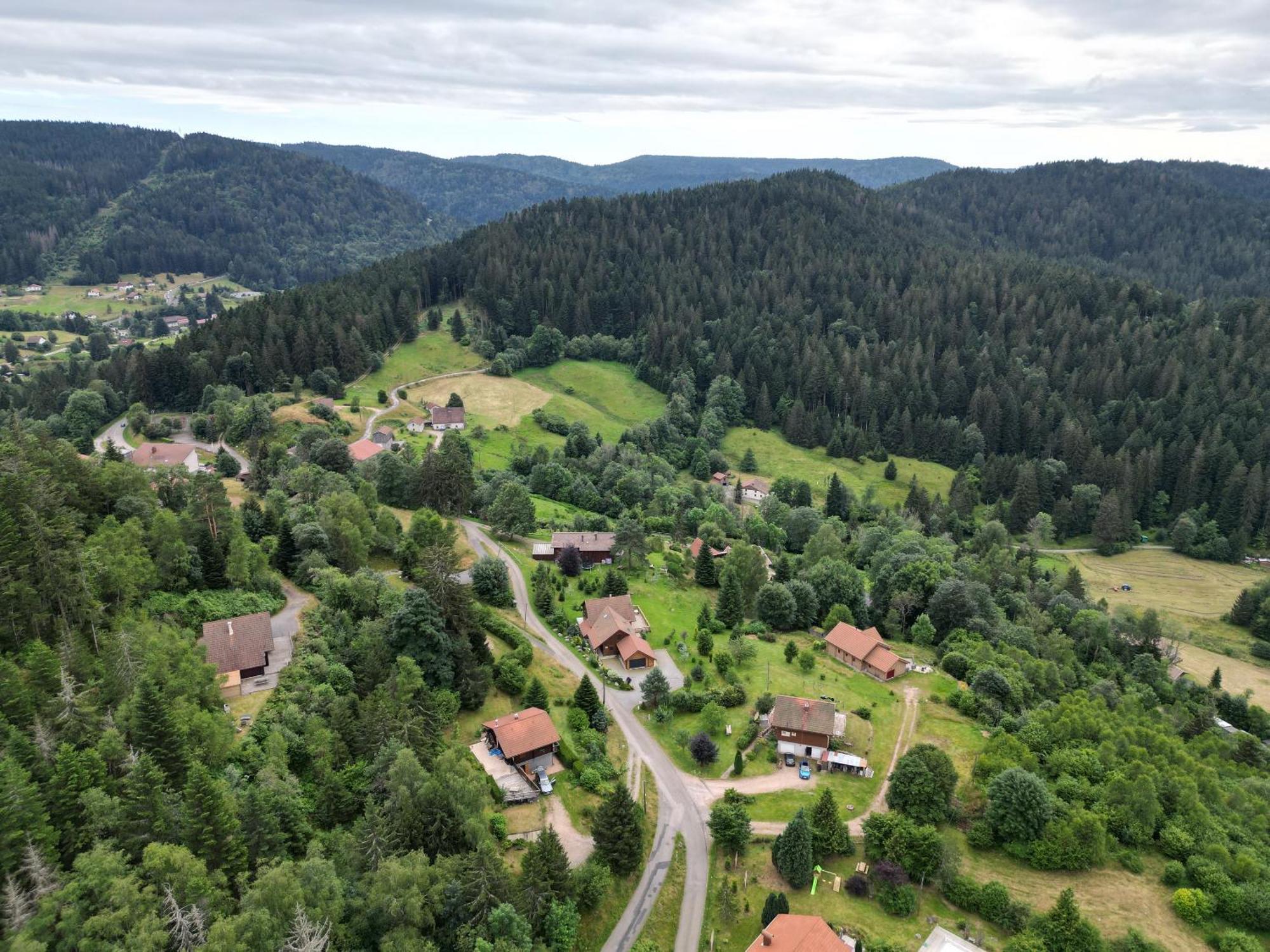 Chalet L'Appel De La Foret Gerardmer Ngoại thất bức ảnh