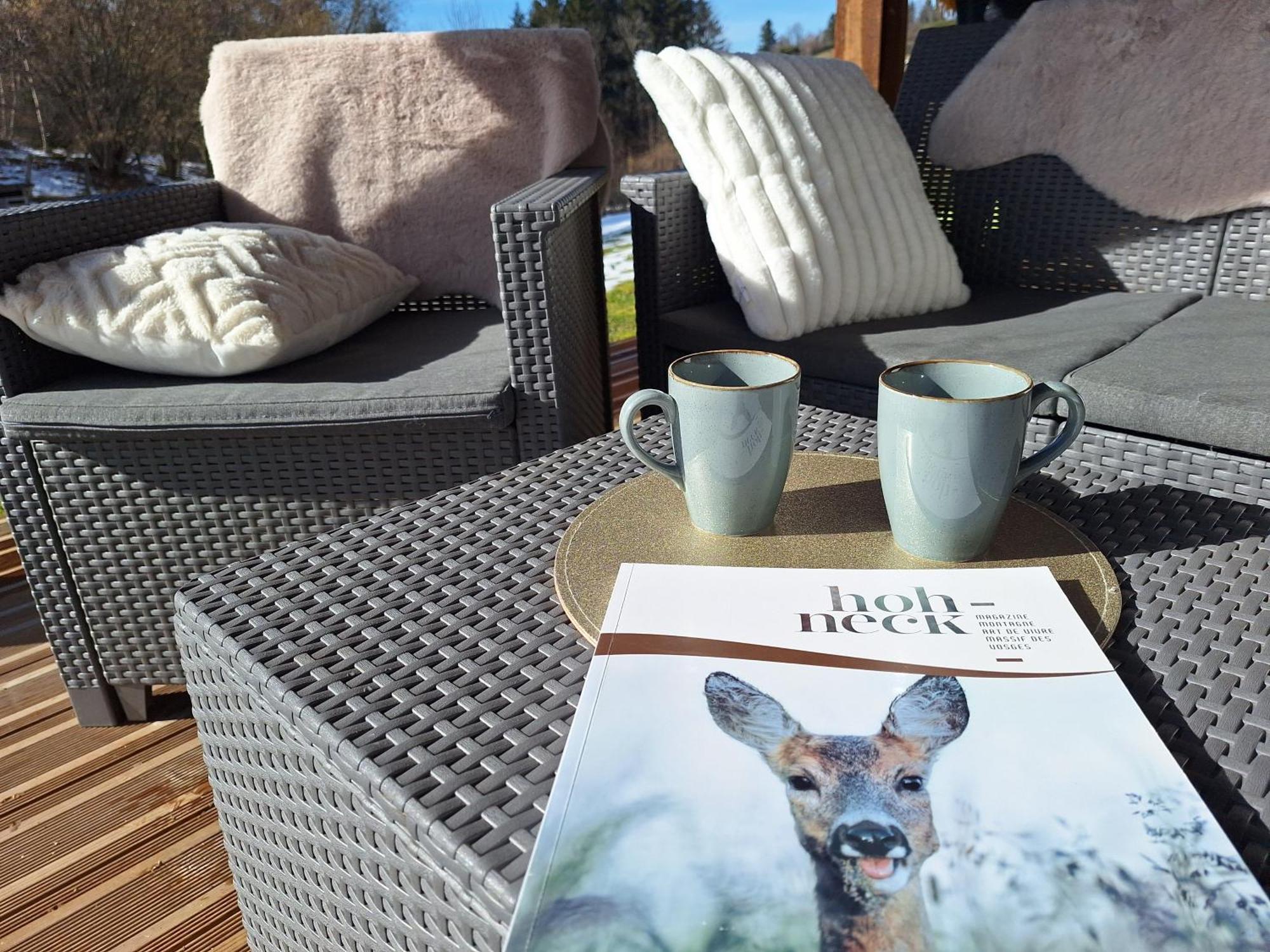 Chalet L'Appel De La Foret Gerardmer Ngoại thất bức ảnh